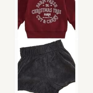 Lot of two: New girl’s corduroy shorts gray 4T and top